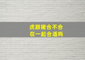 虎跟猪合不合 在一起合适吗